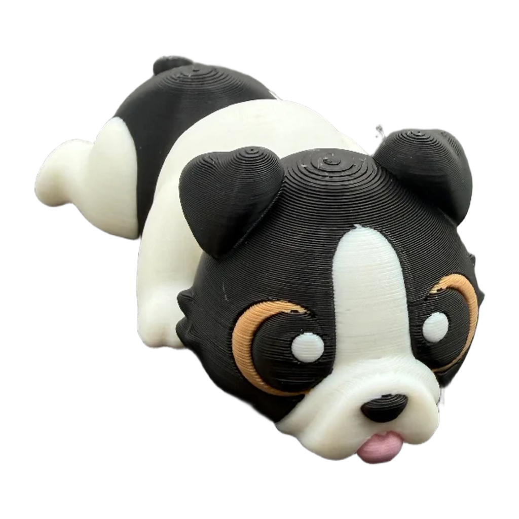 Boston Terrier Flexi